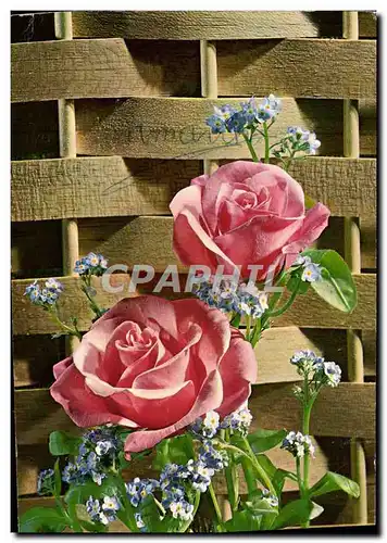 Cartes postales moderne Fantaisie Fleurs