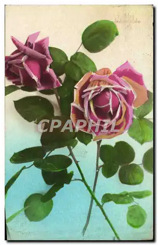 Cartes postales Fantaisie Fleurs