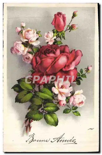 Cartes postales Fantaisie Fleurs