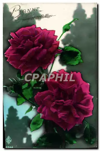 Cartes postales Fantaisie Fleurs