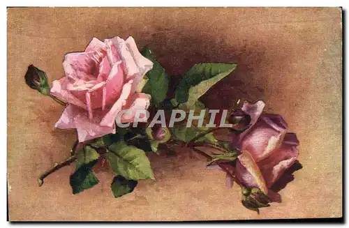 Cartes postales Fantaisie Fleurs