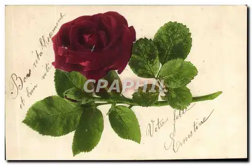 Cartes postales Fantaisie Fleurs