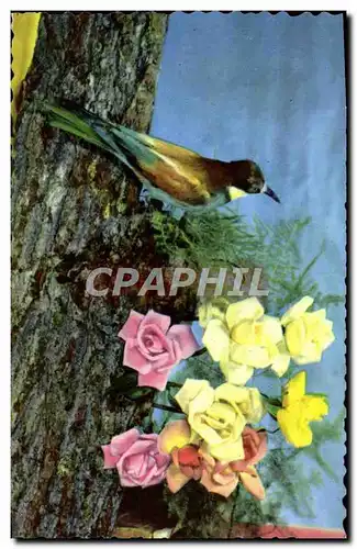 Cartes postales moderne Fantaisie Fleurs oiseau