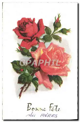 Cartes postales Fantaisie Fleurs