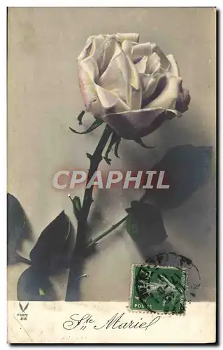 Cartes postales Fantaisie Fleurs