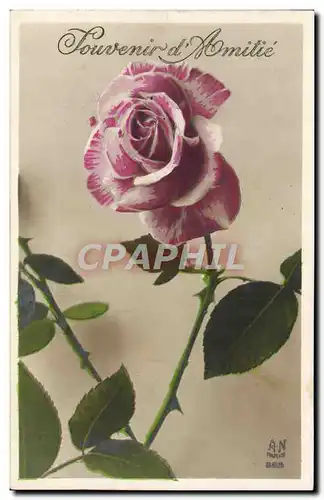 Cartes postales Fantaisie Fleurs