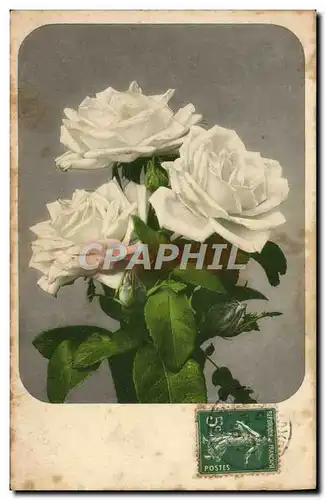 Cartes postales Fantaisie Fleurs