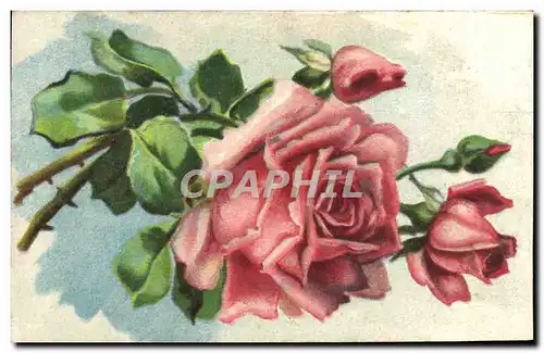 Cartes postales Fantaisie Fleurs