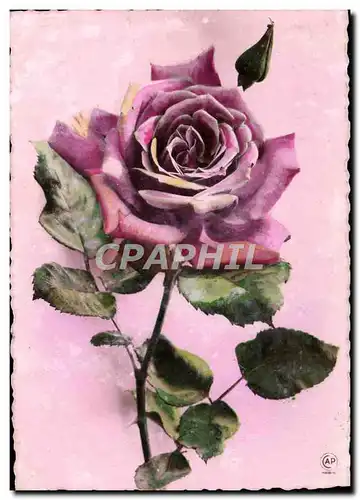 Cartes postales Fantaisie Fleurs