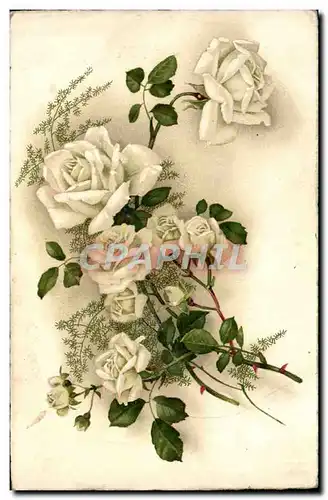 Cartes postales Fantaisie Fleurs