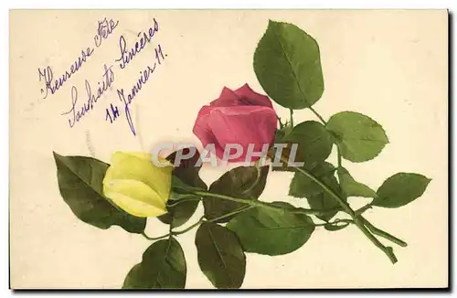 Cartes postales Fantaisie Fleurs