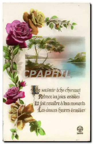 Cartes postales Fantaisie Fleurs