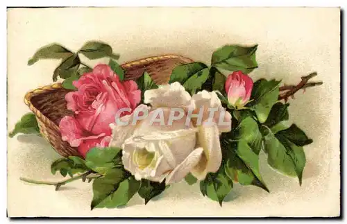 Cartes postales Fantaisie Fleurs