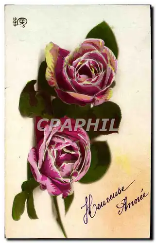 Cartes postales Fantaisie Fleurs