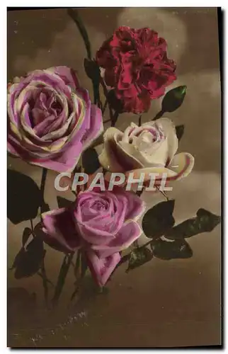 Cartes postales Fantaisie Fleurs