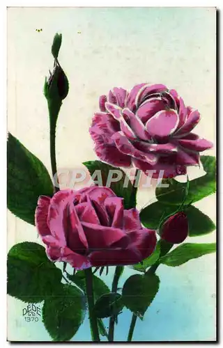 Cartes postales Fantaisie Fleurs