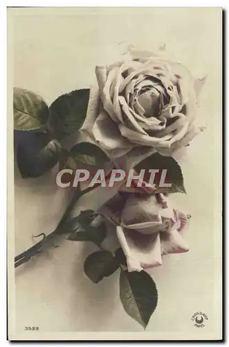 Cartes postales Fantaisie Fleurs