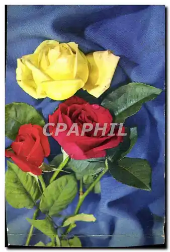 Cartes postales Fantaisie Fleurs