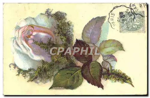 Cartes postales Fantaisie Fleurs