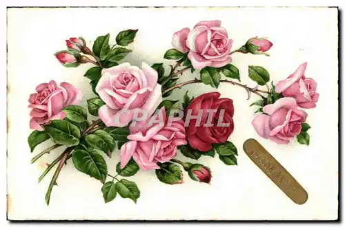 Cartes postales Fantaisie Fleurs