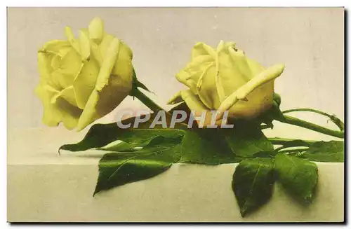 Cartes postales Fantaisie Fleurs