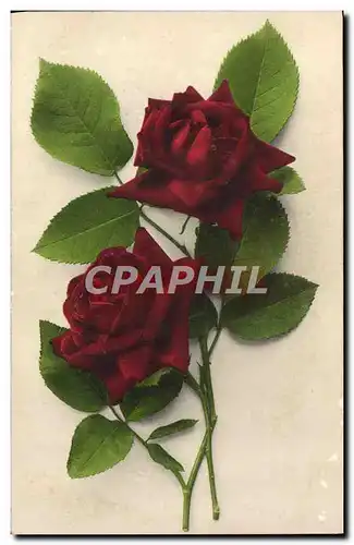 Cartes postales Fantaisie Fleurs