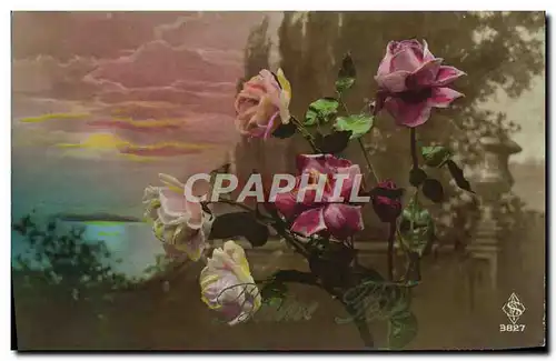 Cartes postales Fantaisie Fleurs