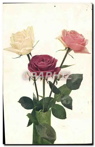 Cartes postales Fantaisie Fleurs