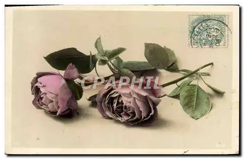 Cartes postales Fantaisie Fleurs