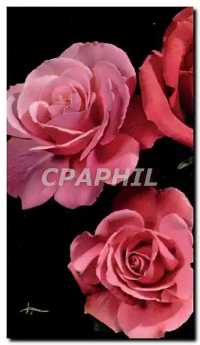 Cartes postales Fantaisie Fleurs