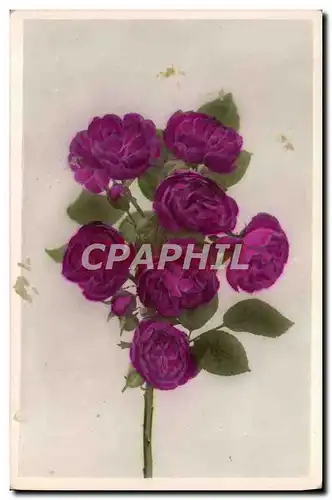 Cartes postales Fantaisie Fleurs