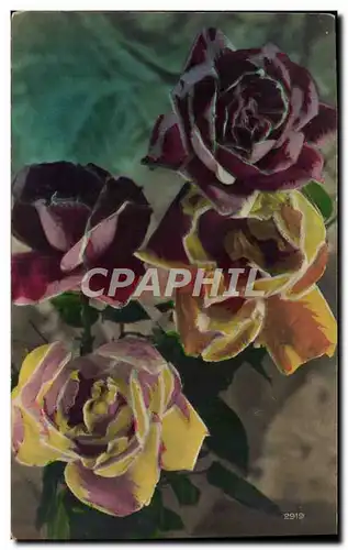 Cartes postales Fantaisie Fleurs