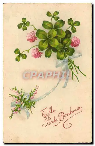 Cartes postales Fantaisie Fleurs Trefles