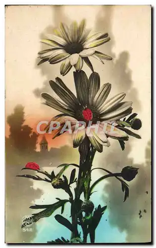 Cartes postales Fantaisie Fleurs