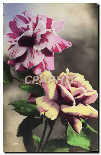 Cartes postales Fantaisie Fleurs