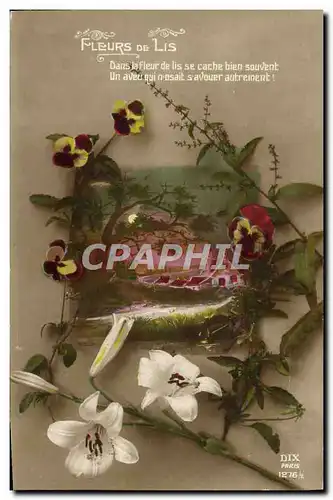 Cartes postales Fantaisie Fleurs des lis