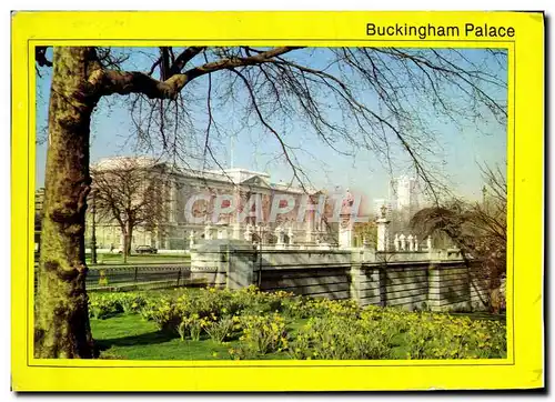 Cartes postales moderne London Buckingham Palace