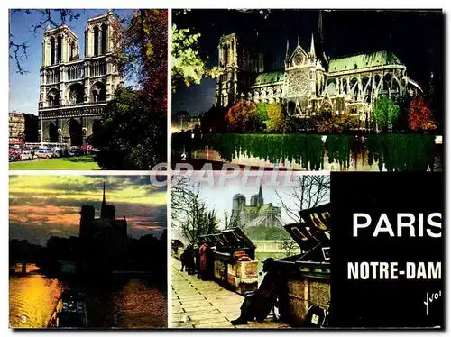 Cartes postales moderne Paris Notre Dame Bouquiniste