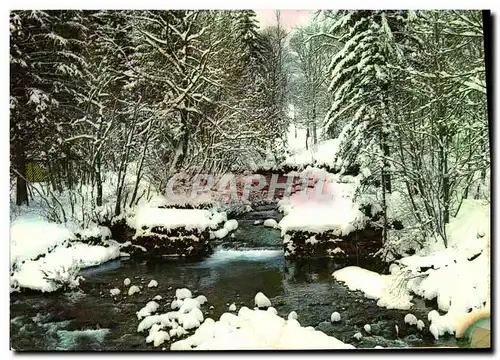 Cartes postales moderne Le Torrent En Hiver