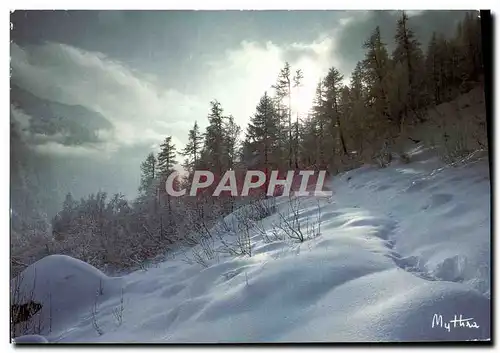 Cartes postales moderne Paysages D'hiver