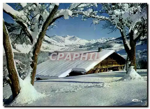 Cartes postales moderne Le Chalet Sous La Neige