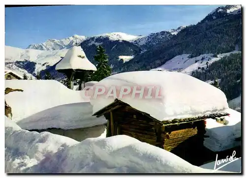 Cartes postales moderne Les Toits De Neige