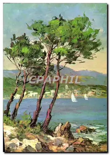 Cartes postales moderne En Provence Pins Maritimes