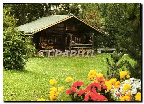 Cartes postales moderne Le Chalet Du Bonheur