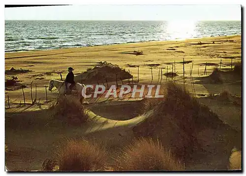 Moderne Karte Contre Jour Et Cavalier Dans Les Dunes Cheval