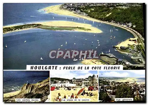 Cartes postales moderne Houlgate Perle De La Cote Fleurie Les vaches noires La plage et le casino Vue generale