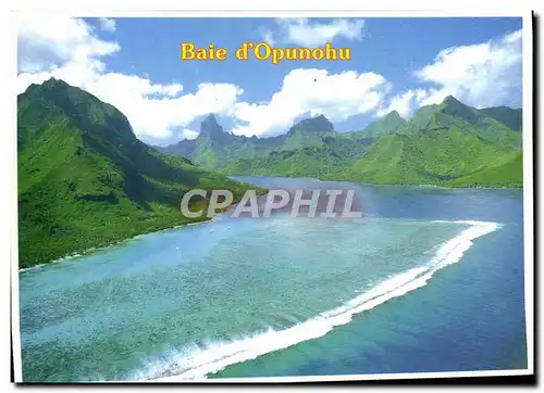 Cartes postales moderne Baie D&#39Opunohu Aerial View Of Moorea Island