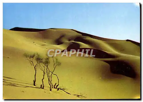 Cartes postales moderne Desert Sul agerien