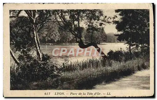 Cartes postales moderne Lyon Parc de la Tete d&#39Or