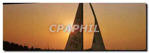 Cartes postales moderne Souvenirs de Vacances Bateau Voilier